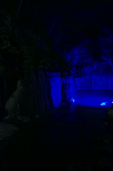 DSC03572