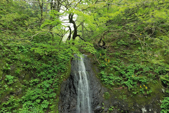 布滝
