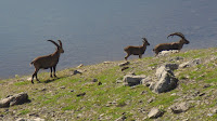 CIMG3340.JPG Photo