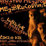 Mega Brucovanje 2008