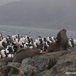 IMG_6170.JPG