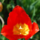 20090503 Dzialka