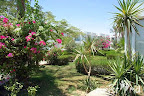 Фото 10 Amarante Garden Palms Resort ex. Tropicana Garden Palms Resort