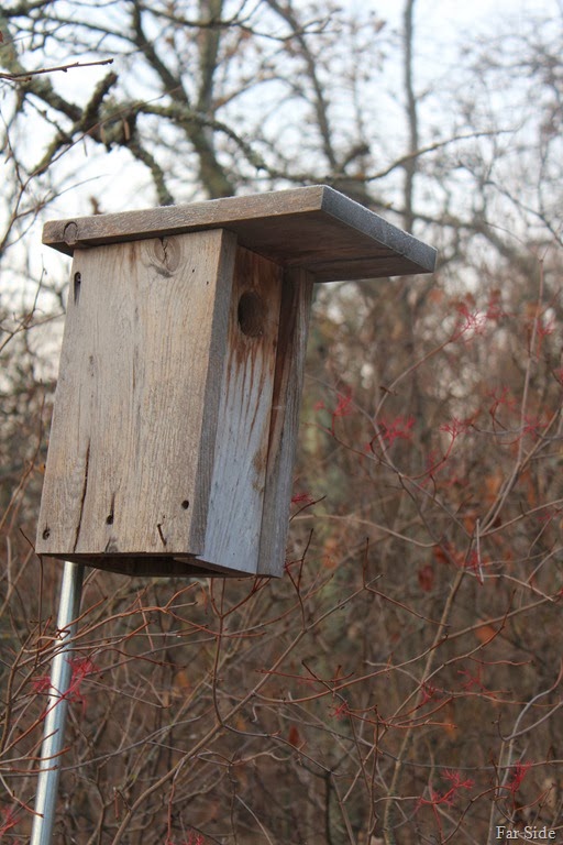 [Birdhouse%2520two%255B8%255D.jpg]