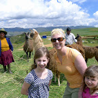 We stop and see some Llamas