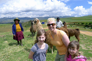 We stop and see some Llamas