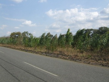 [DSCF7734%255B6%255D.jpg]