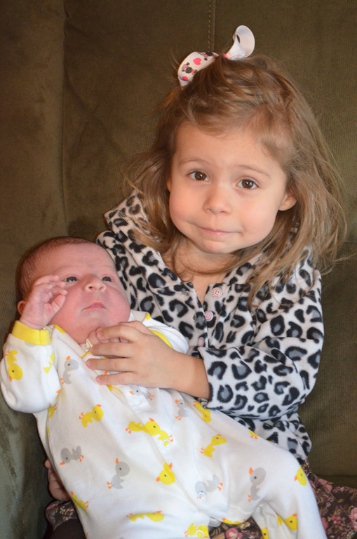 [DSC_3641%255B6%255D.jpg]