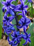 DSC03062.JPG