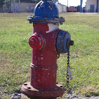 IMGP0500.JPG