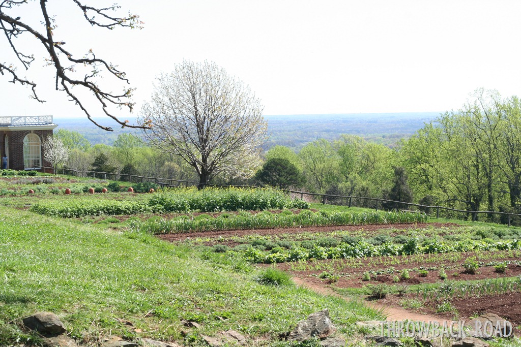 [virginia%2520trip%2520103%255B3%255D.jpg]