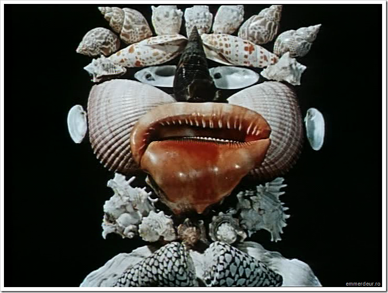 jan svankmajer historia naturae emmerdeur_27 jan svankmajer historia naturae emmerdeur_27