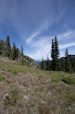 Marmot pass