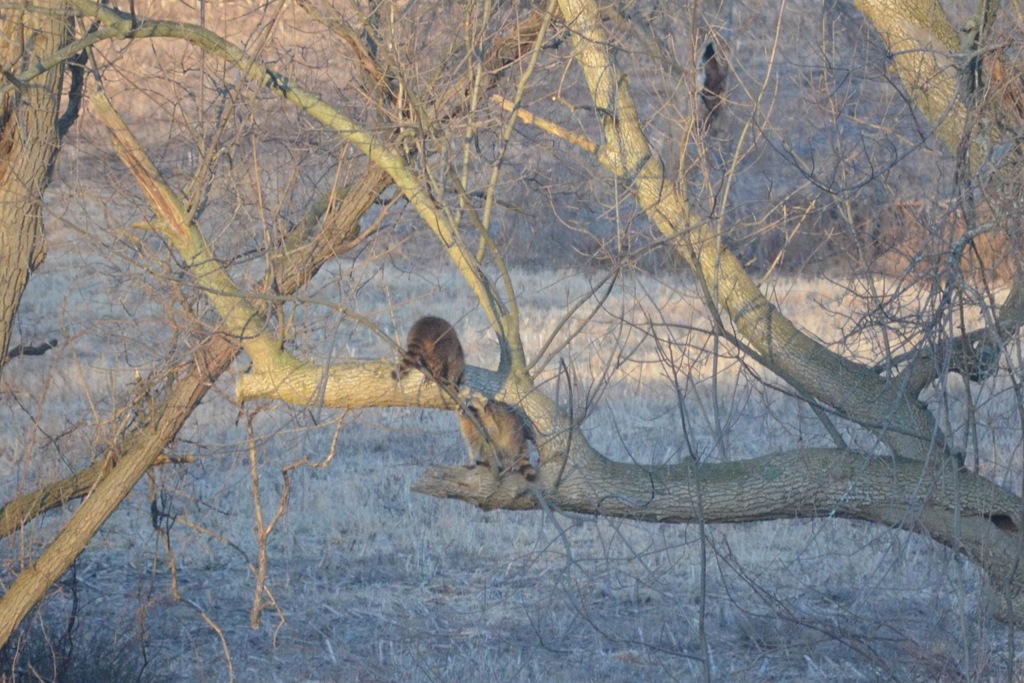 [DSC_0034x%255B4%255D.jpg]