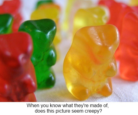 [gummy%2520bears%255B4%255D.jpg]