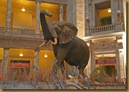 Natural History Natural History