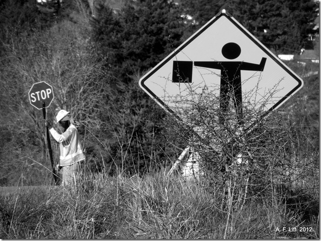 Construction.  Powell Butte.  Portland, Oregon.  March 8, 2012.  Photo of the Day, April 5, 2012.