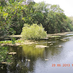 DSCN8337.JPG