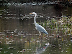 S0073159.JPG