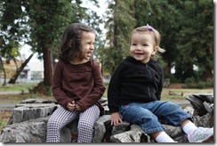 IMG_1445 IMG_1445