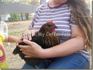 me holding my chickens 003
