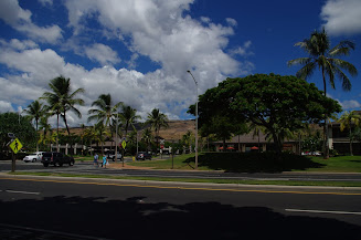 walking distance to shopping