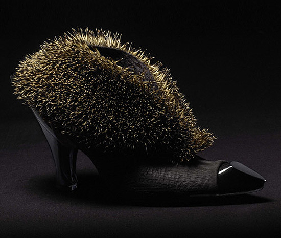 hedgehog-shoes.jpg