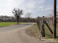 dsc07183.jpg