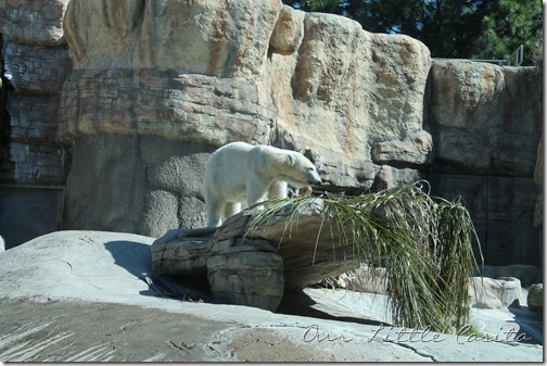 SanDiego2012 051