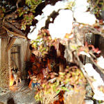 1523-6.JPG