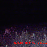 MDGC0248.JPG