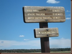 IMG_4025 IMG_4025