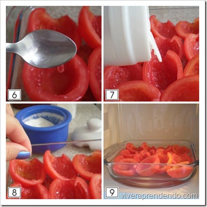 Tomate Seco1