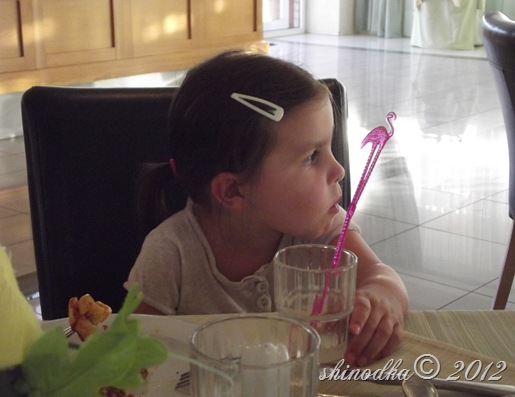 DSCF4027 DSCF4027