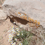 DSC00054.JPG