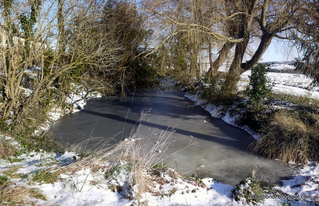 [My-tiny-pond-is-frozen6.jpg]