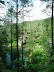 Nature surrounding Wright's property