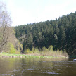 P1130175.JPG