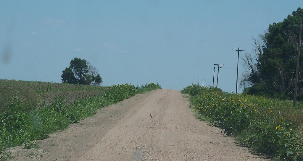 [Road%2520to%2520the%2520farm2%255B5%255D.jpg]
