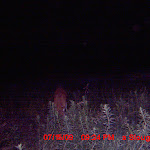 MDGC0255.JPG