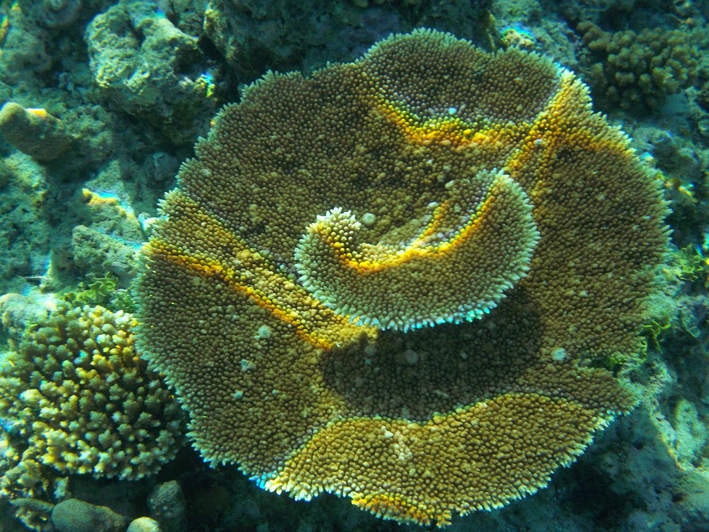 [100_0015%255B3%255D.jpg]