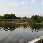 IMG_8242.JPG