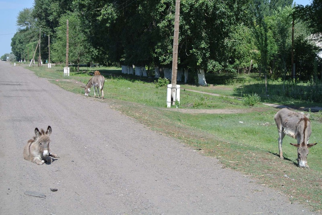 [DSC_5142%255B4%255D.jpg]