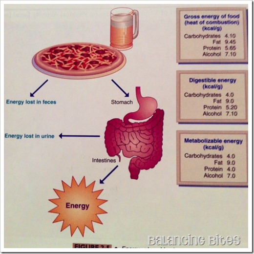 Energy Value of Food Energy Value of Food