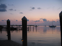 IMG_4364.jpg