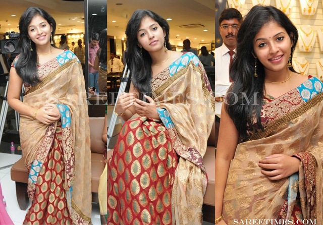 [Anjali_Designer_Sari%255B3%255D.jpg]