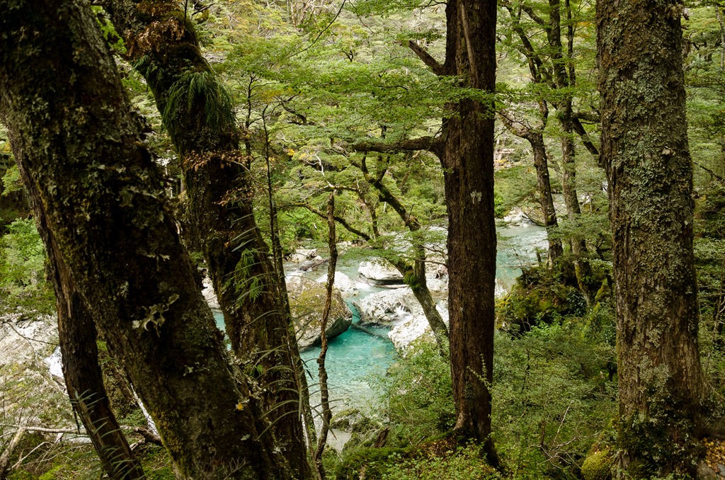 [Routeburn-283.jpg]