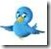 Capture-twitter