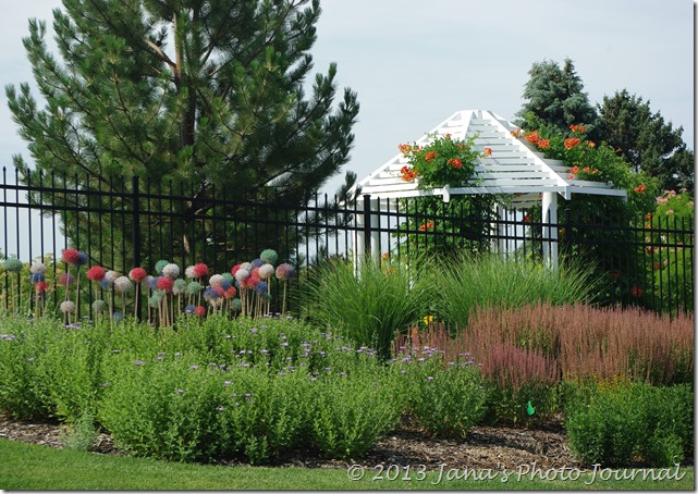 Jana S Place Colorful Alliums At Central Utah Gardens