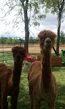 2011-09-25 13.26.38.jpg